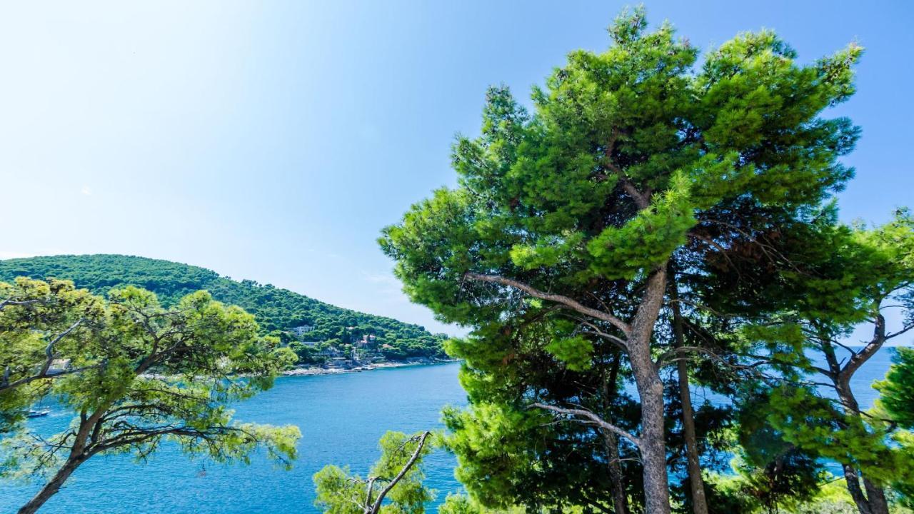 Leilighet Blue Lagoon Dubrovnik